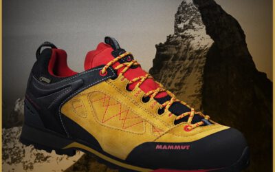 Ridge Low GTX M