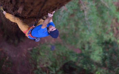 Chris Sharma escala en libre una secuoya gigante de California